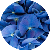 はるかさんのアイコン